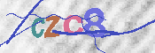Obraz CAPTCHY