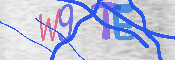 Obraz CAPTCHY