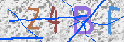 Obraz CAPTCHY